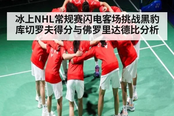 冰上NHL常规赛闪电客场挑战黑豹 库切罗夫得分与佛罗里达德比分析